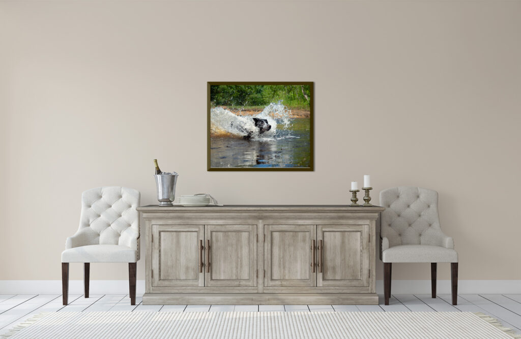 Framed Artwork from a dog photography session by Donna Kelliher Photography. 