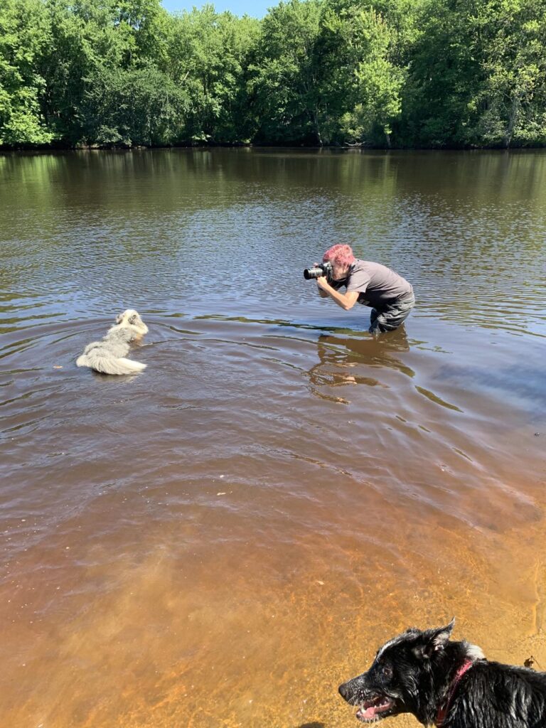 boston dog photographer, Donna Kelliher Photograhpy at work