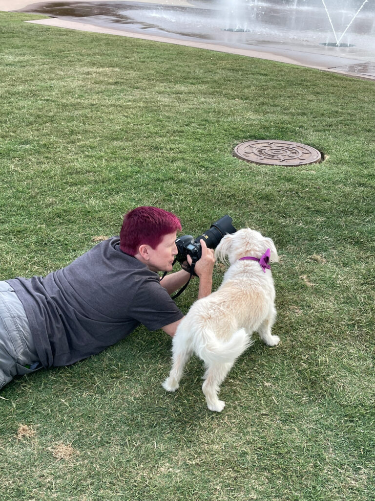 behind the scenes at a dog photography session
