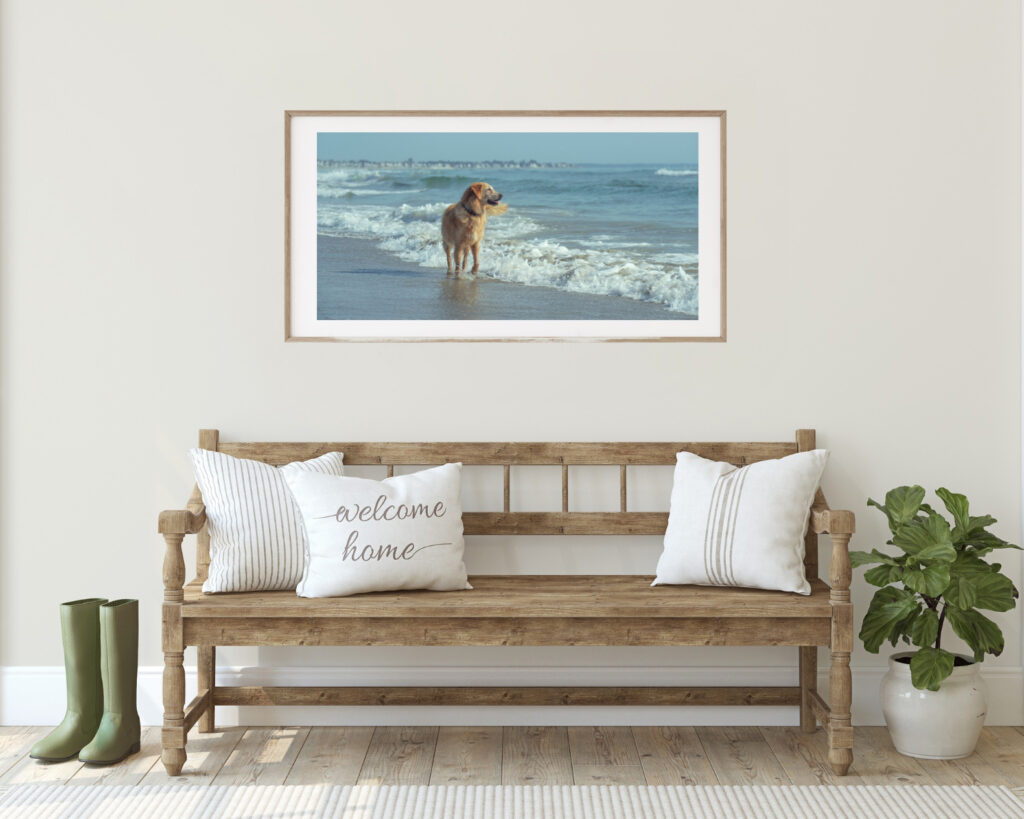 a portrait of love in golden retriever form on the beach in Ogunquit, Maine