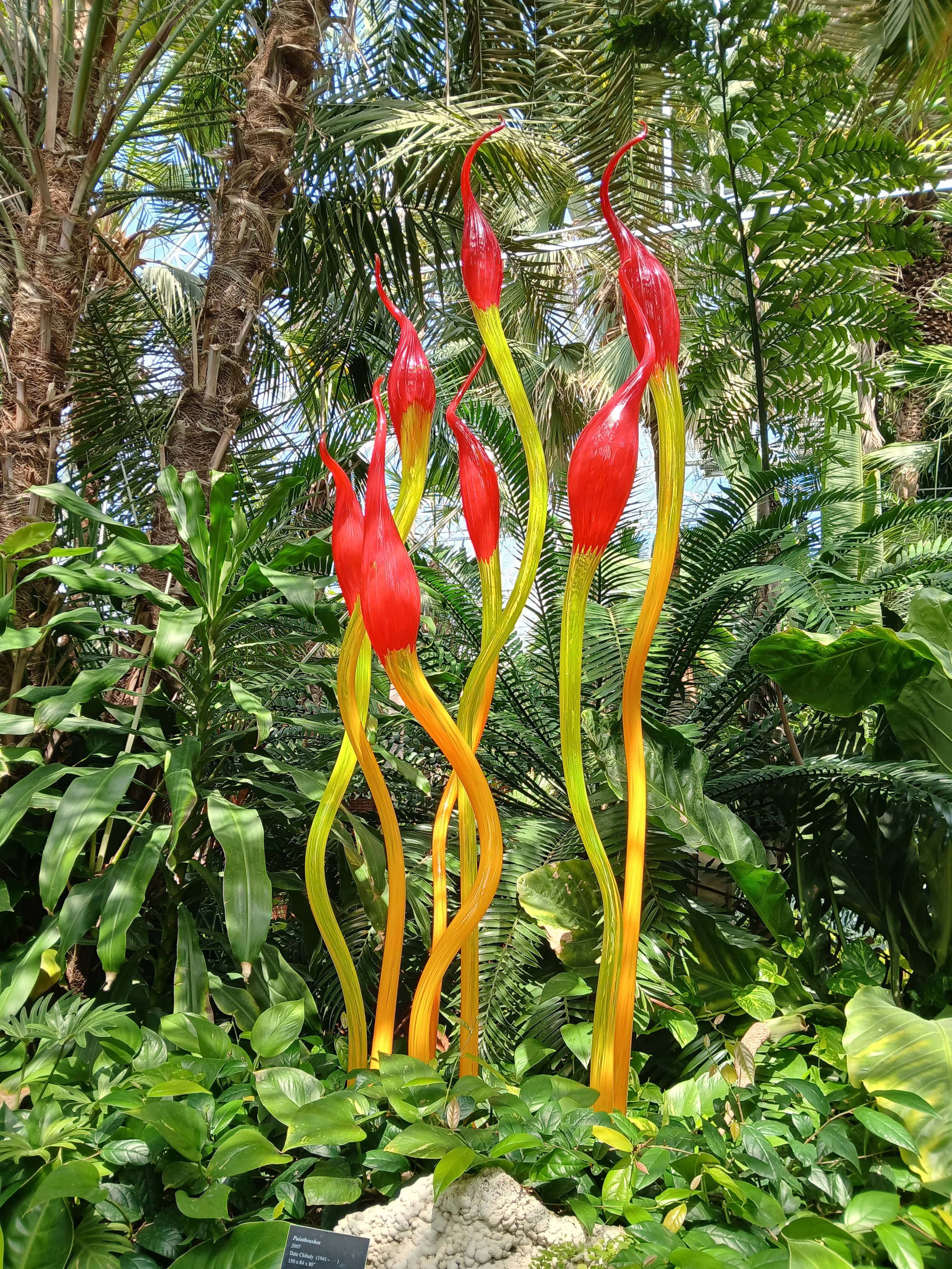 Dale Chihuly Glass at the Phipps Conservatory in Pittsburgh PA
