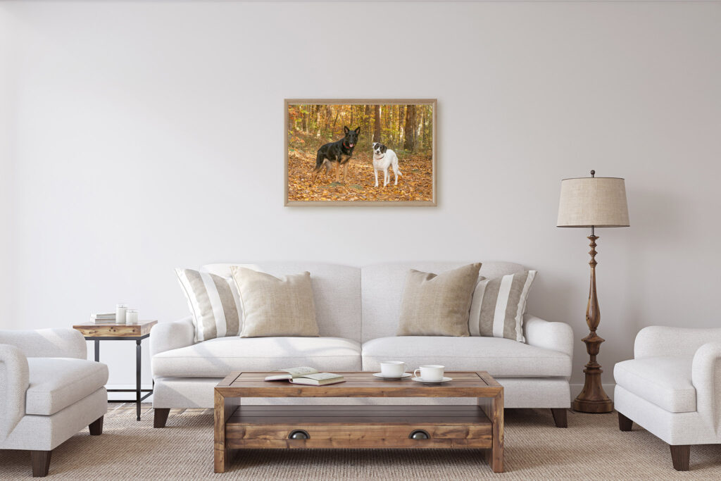 wall art from a  recent session at Hopkinton State Park
