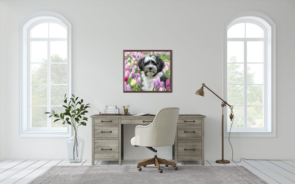 wall art of a spring tulip session
