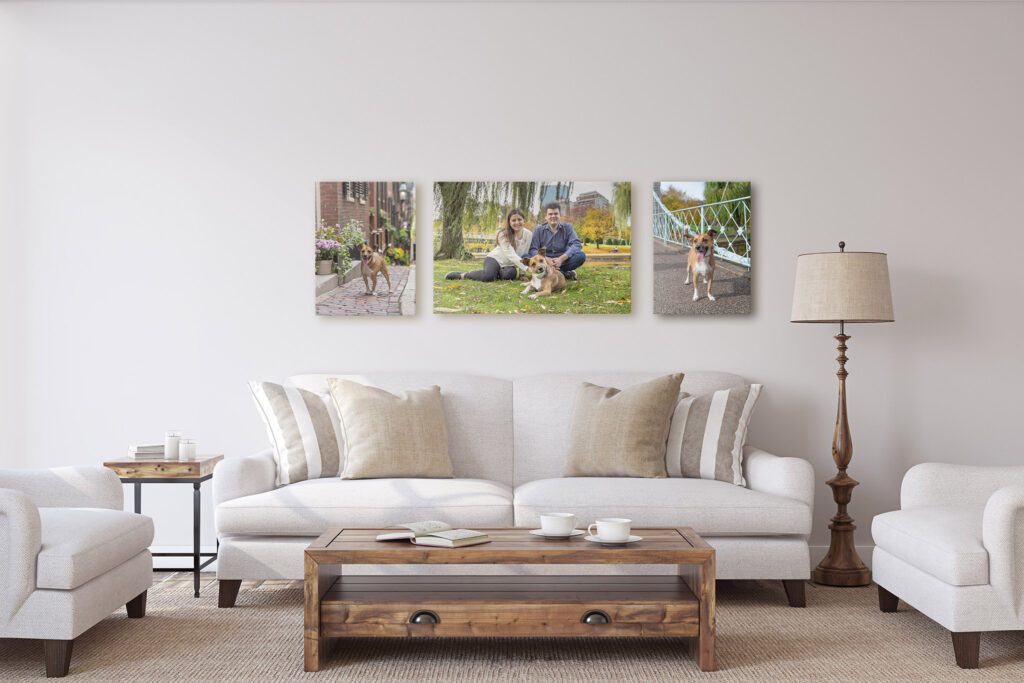 Dog photographs on a wall at home